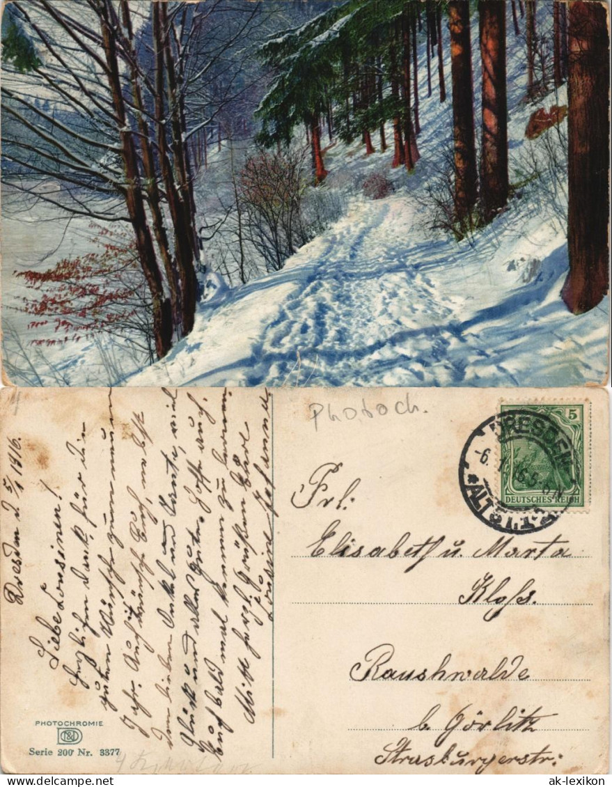 Winter-Ansichtskarten (Schnee/Eis) / Stimmungsbild Photochromie 1915 - Non Classés