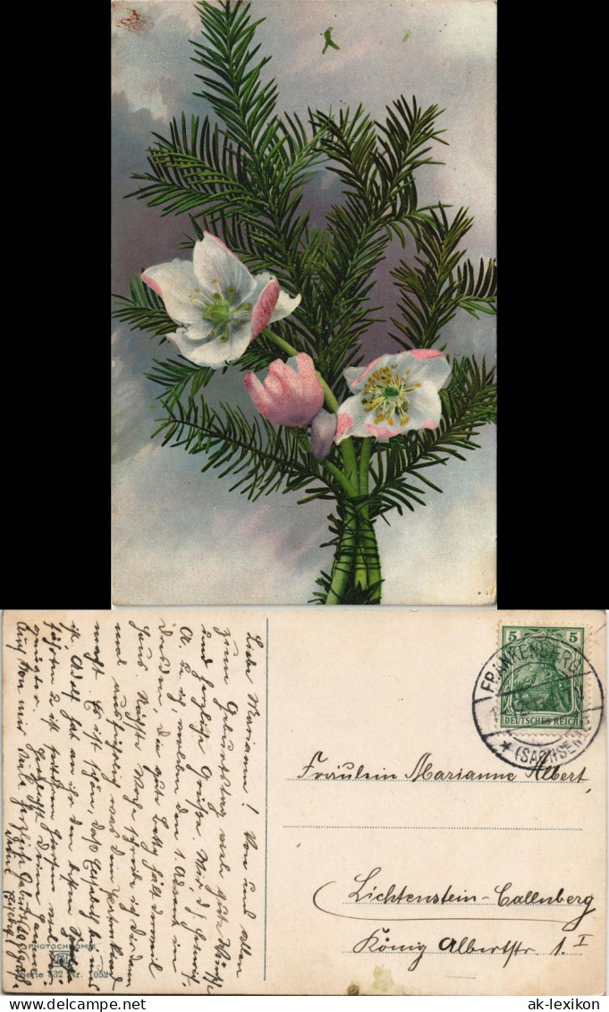Ansichtskarte  Botanik :: Blumen Photochromie - Gesteck 1913 - Altri & Non Classificati