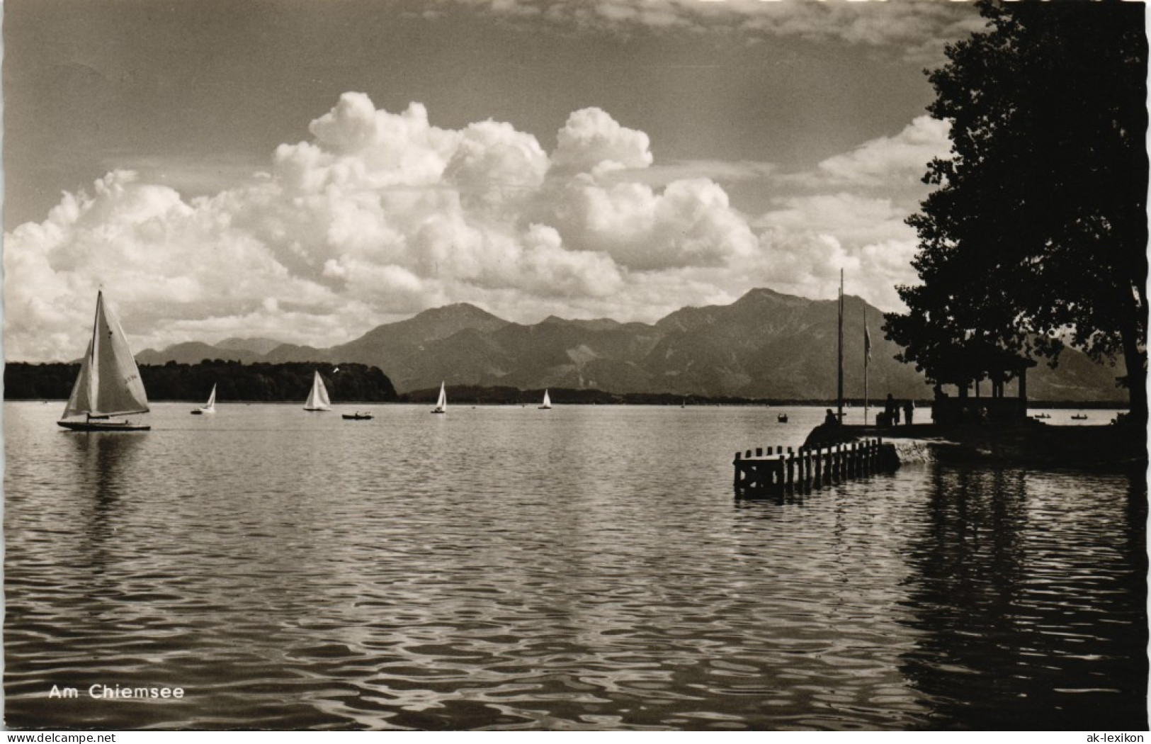 Ansichtskarte Chiemsee Chiemsee (See) Panorama Mit Segelbooten 1966 - Chiemgauer Alpen