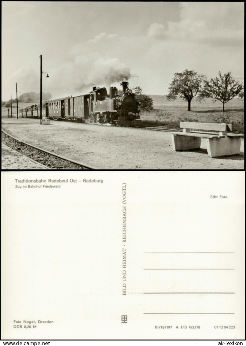 Ansichtskarte Friedewald-Moritzburg ZUg Bei Der Ankunft Im Bahnhof 1978 - Moritzburg