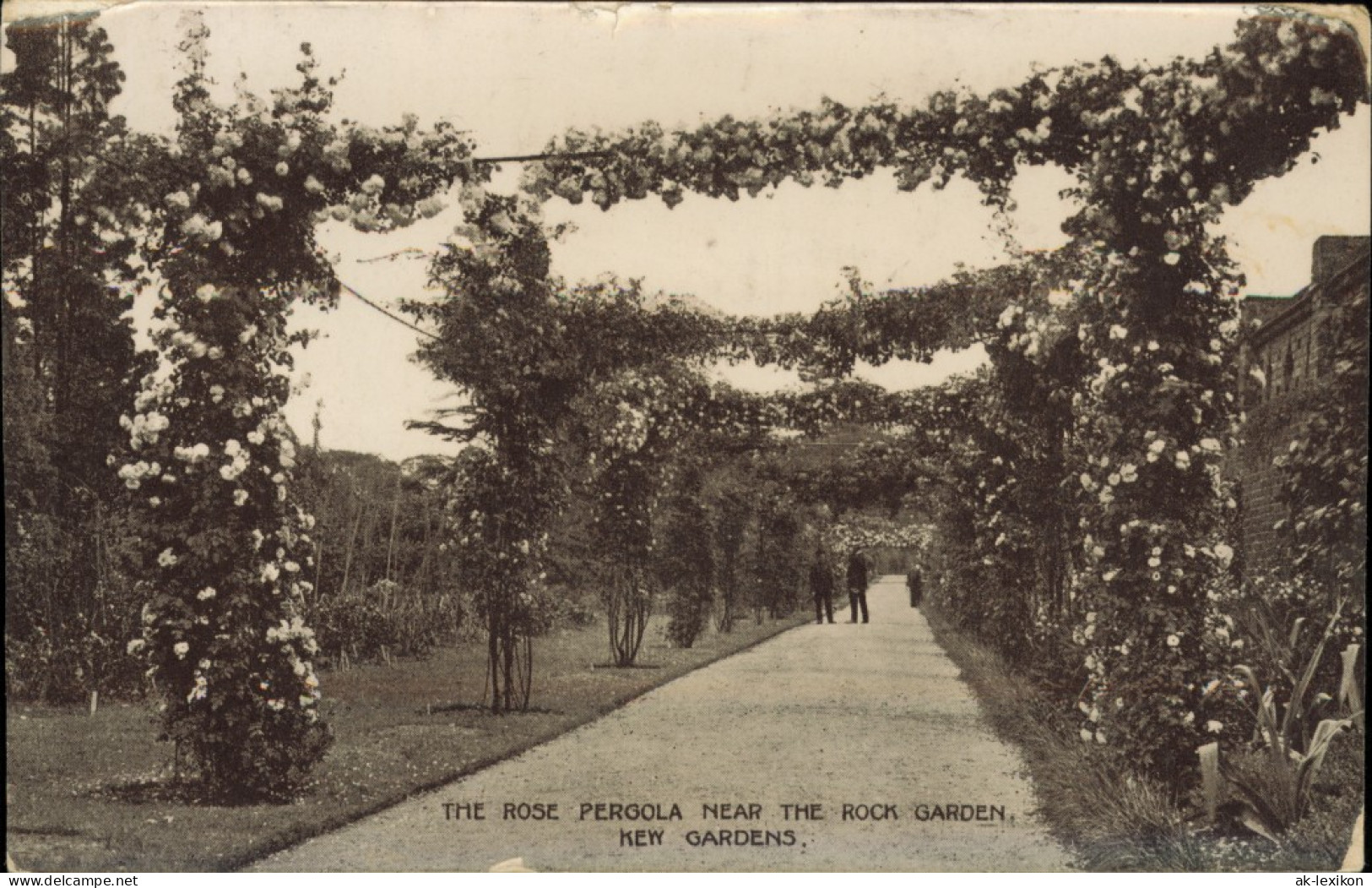 Postcard Kew-London ROSE PERGOLA NEAR THE ROCK GARDEN KEW GARDENS 1910 - Andere & Zonder Classificatie