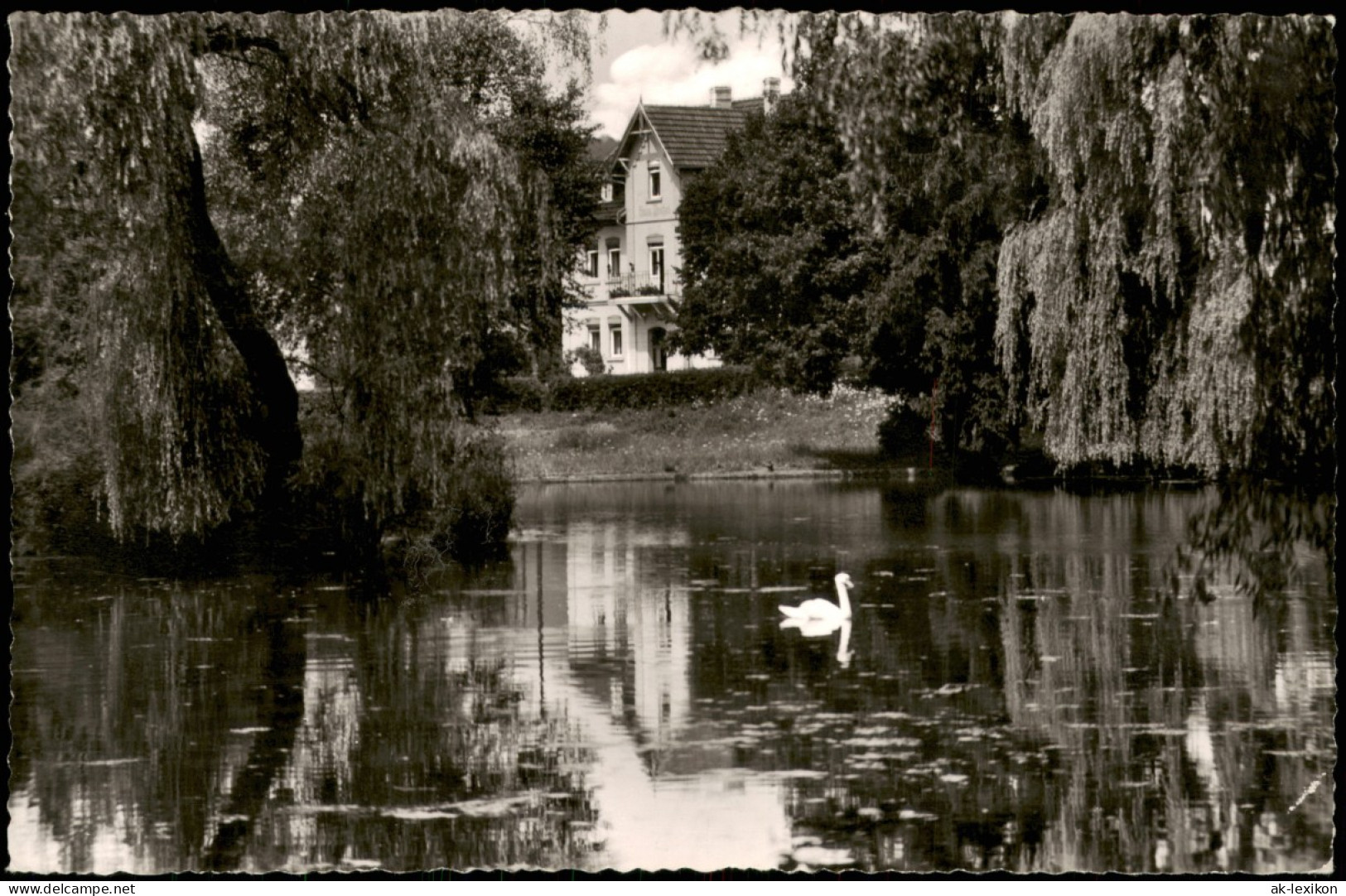 Ansichtskarte  Rheinhardshausen , Schwanenteich Haus Pützel 1963 - Zonder Classificatie