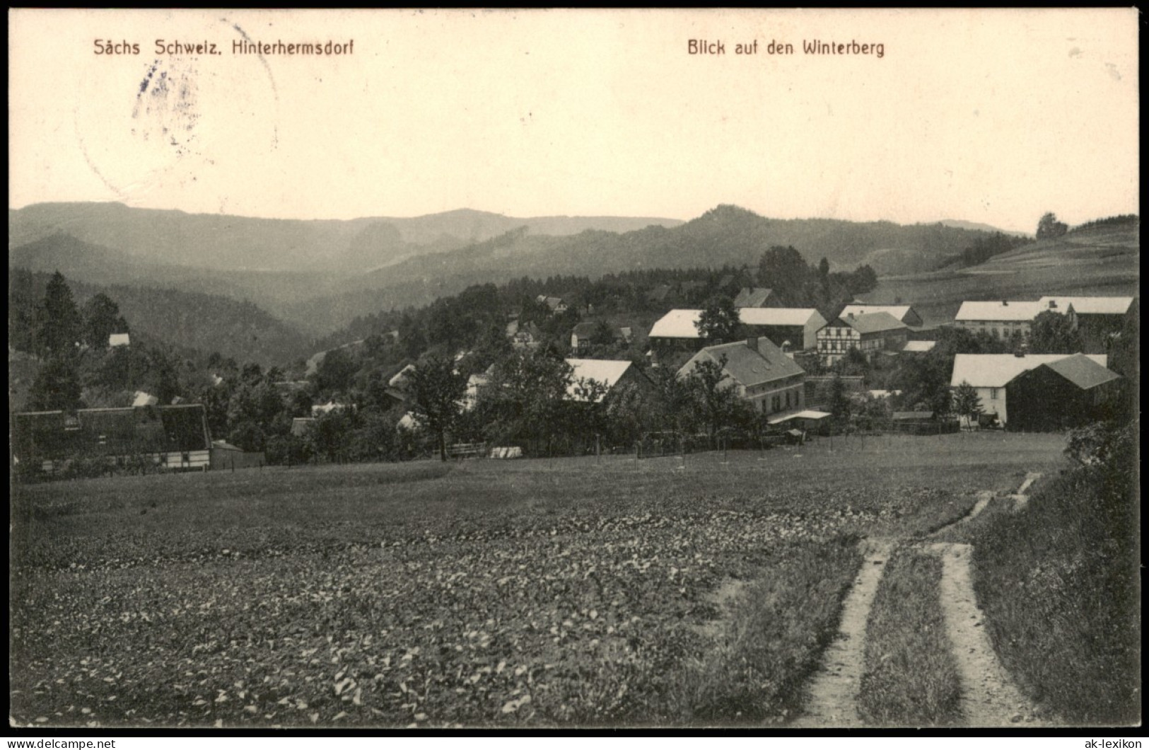 Hinterhermsdorf-Sebnitz Stadtpartie - Blick Auf Den Winterberg 1913 - Hinterhermsdorf