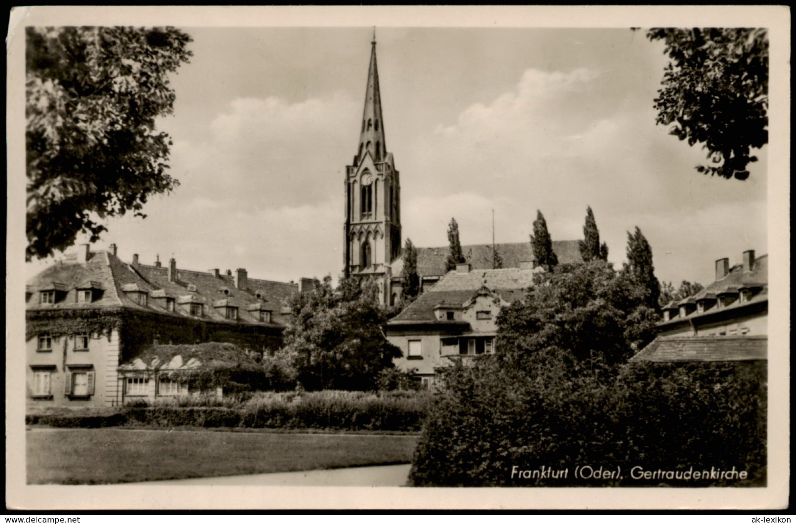 Ansichtskarte Frankfurt (Oder) Gertraudenkirche Und Häuser 1954 - Frankfurt A. D. Oder