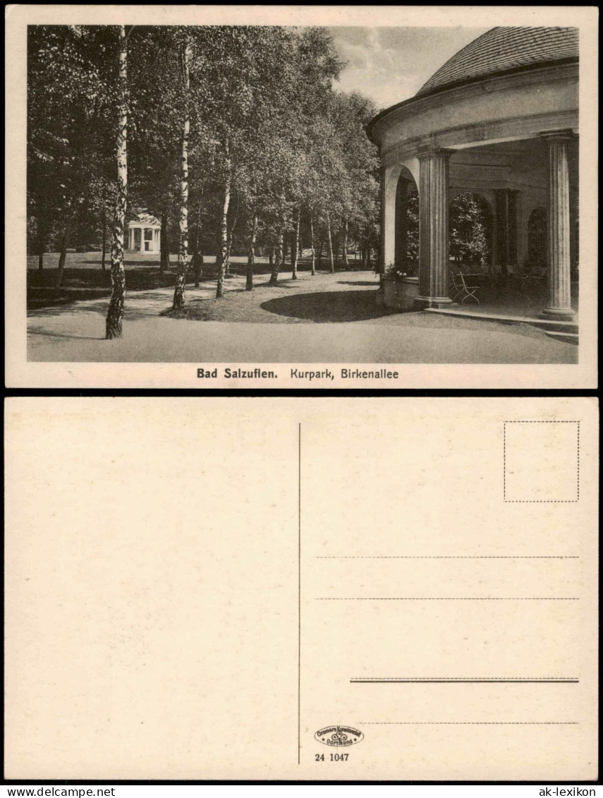 Ansichtskarte Bad Salzuflen Kurpark, Birkenallee 1926 - Bad Salzuflen