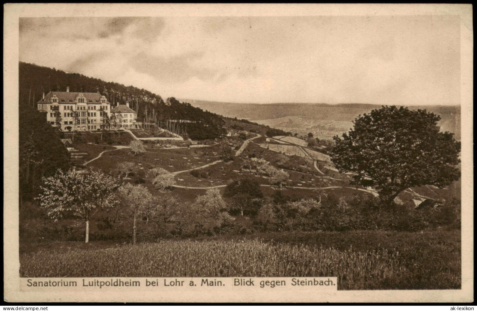 Lohr Am Main Sanatorium Luitpoldheim  Main. Blick Gegen Steinbach. 1926 - Lohr