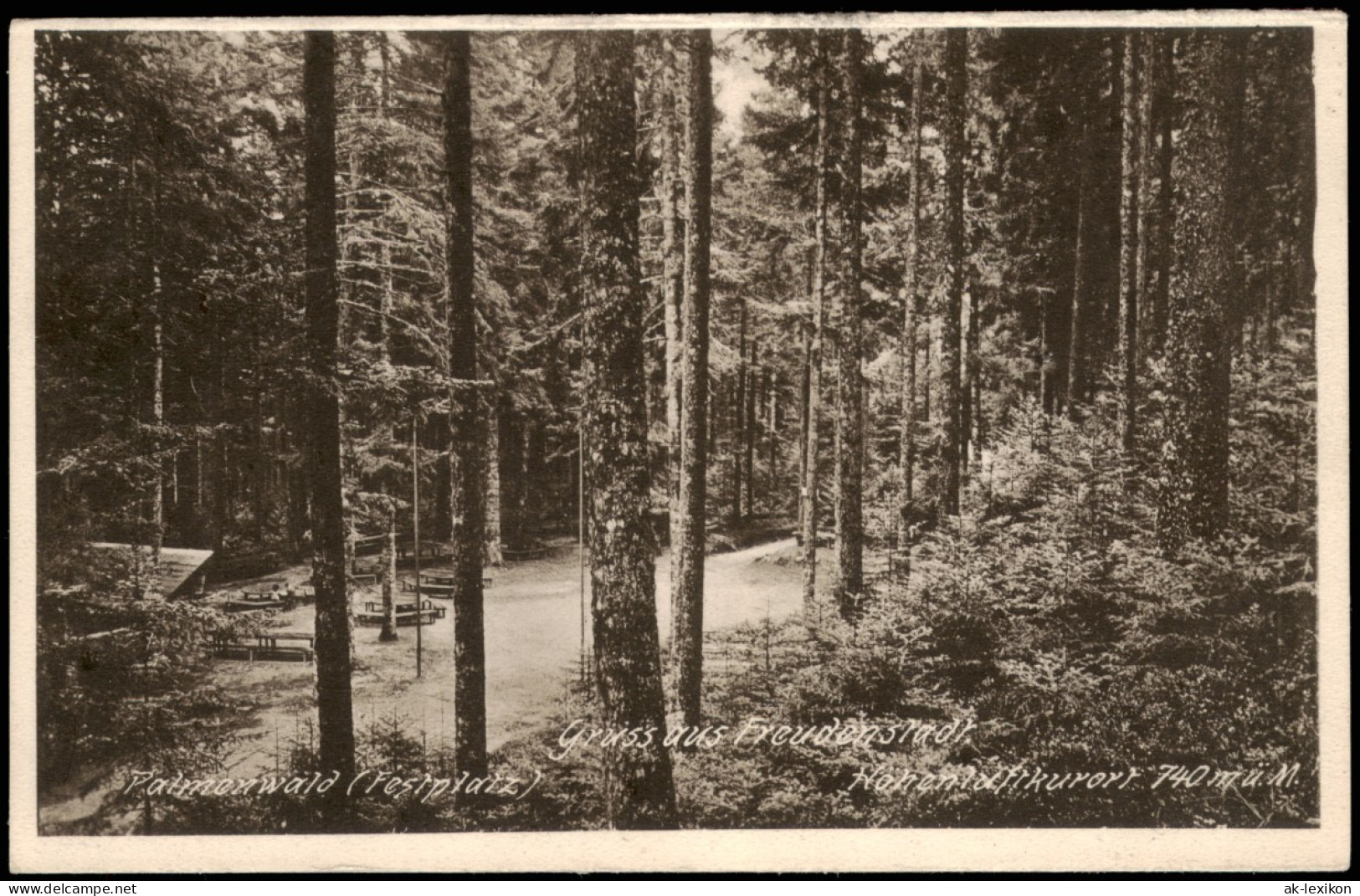 Ansichtskarte Freudenstadt Festplatz - Palmenwald 1928 - Freudenstadt