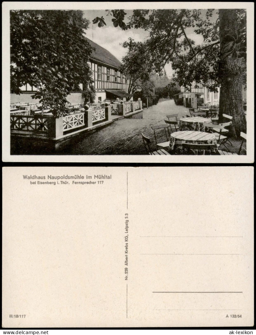 Ansichtskarte Eisenberg (Thüringen) Waldhaus Naupoldsmühle Im Mühltal 1954 - Eisenberg
