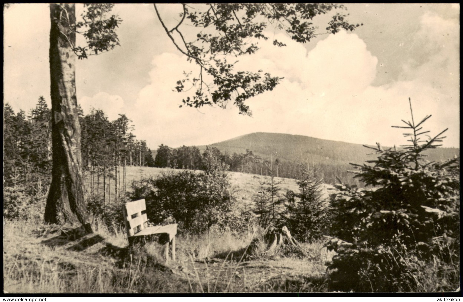 Schmiedefeld (Rennsteig) Umland-Ansicht "Schöne Aussicht" Zur DDR-Zeit 1960 - Schmiedefeld