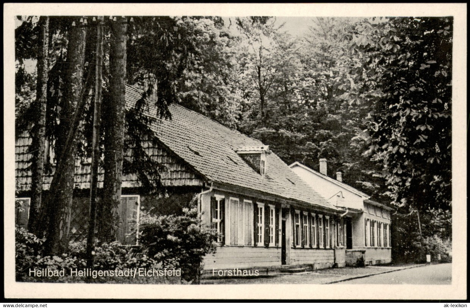 Heilbad Heiligenstadt Partie Am Forsthaus; Ort Im Eichsfeld 1963 - Heiligenstadt