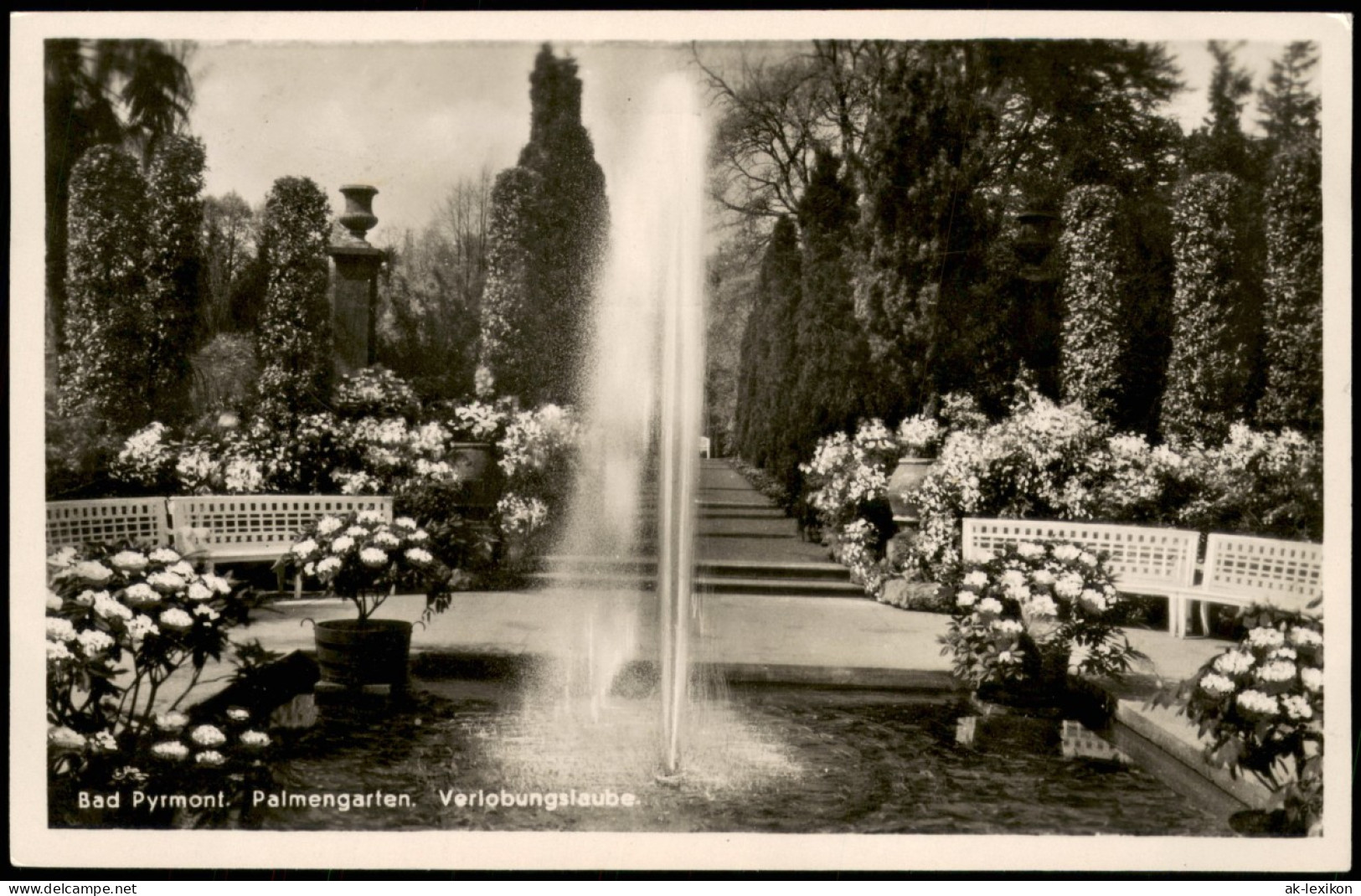 Ansichtskarte Bad Pyrmont Palmengarten Mit Verlobungslaube 1936 - Bad Pyrmont