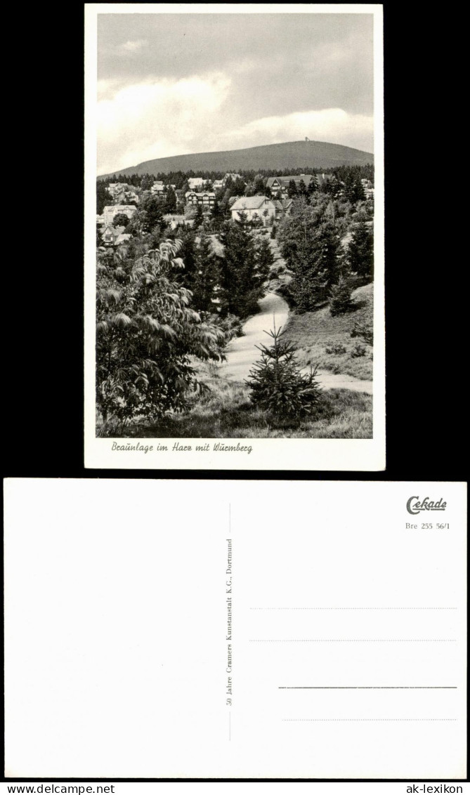 Ansichtskarte Braunlage Häuser Am Wurmberg 1956 - Braunlage