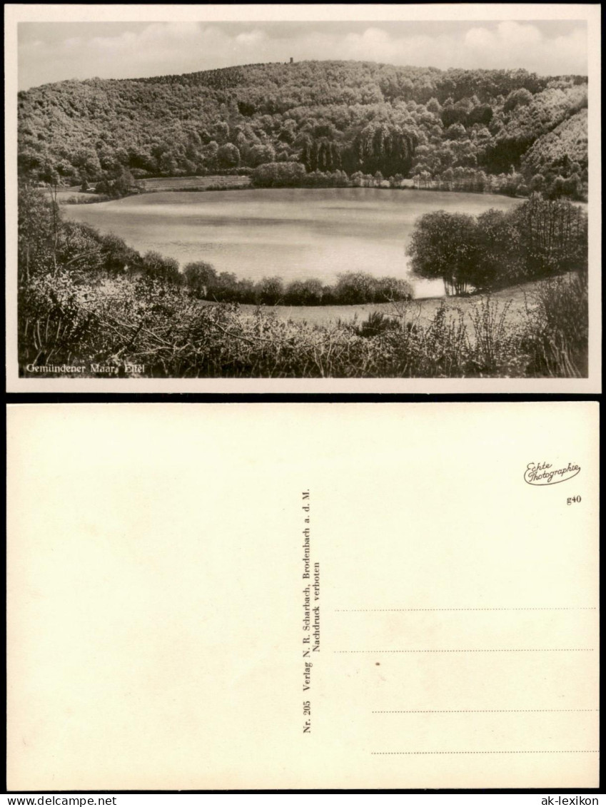 Ansichtskarte Daun Eifel Gemündener Maar, Eifel 1955 - Daun