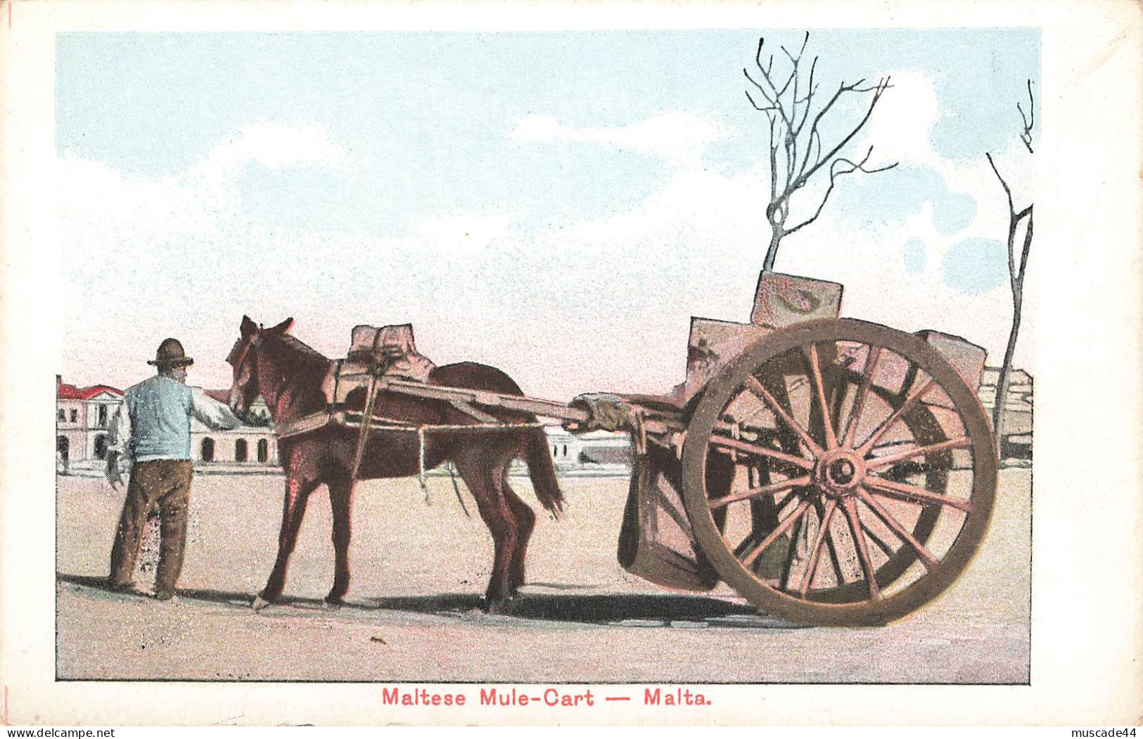 MALTA - MALTESE MULE CART - Malta