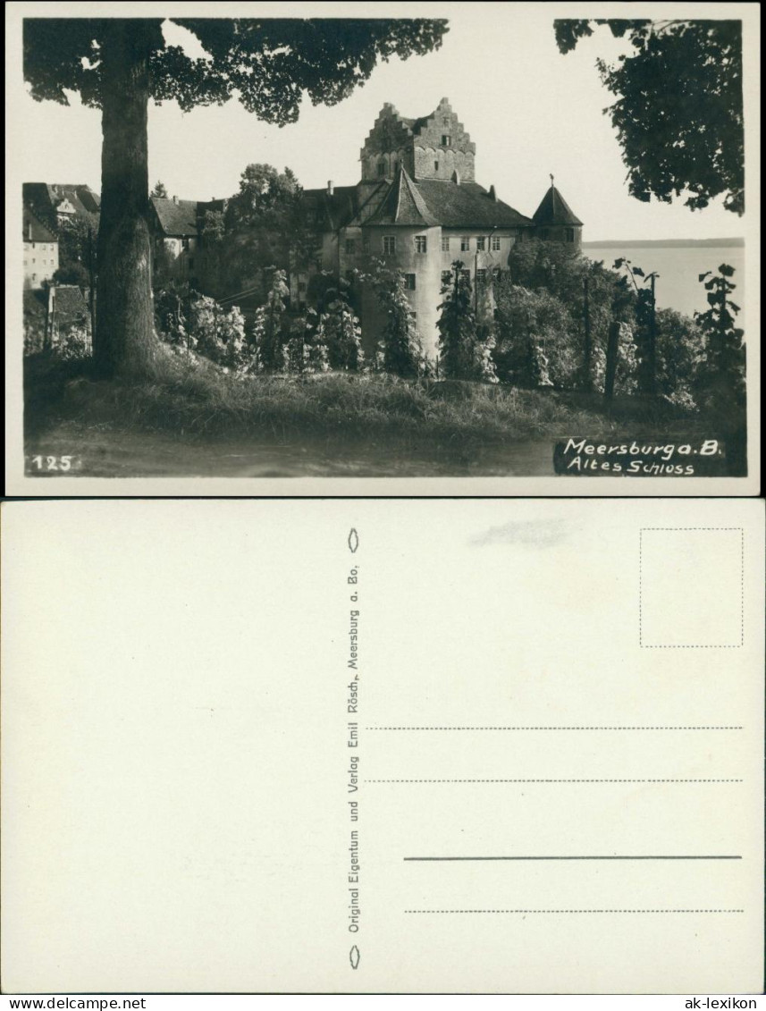 Ansichtskarte Meersburg Altes Schloß / Burg Meersburg Weinreben 1928 - Meersburg