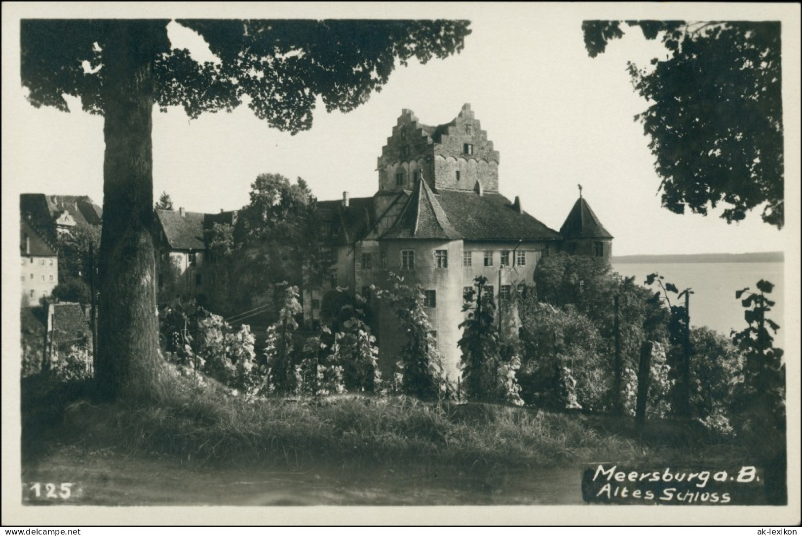 Ansichtskarte Meersburg Altes Schloß / Burg Meersburg Weinreben 1928 - Meersburg