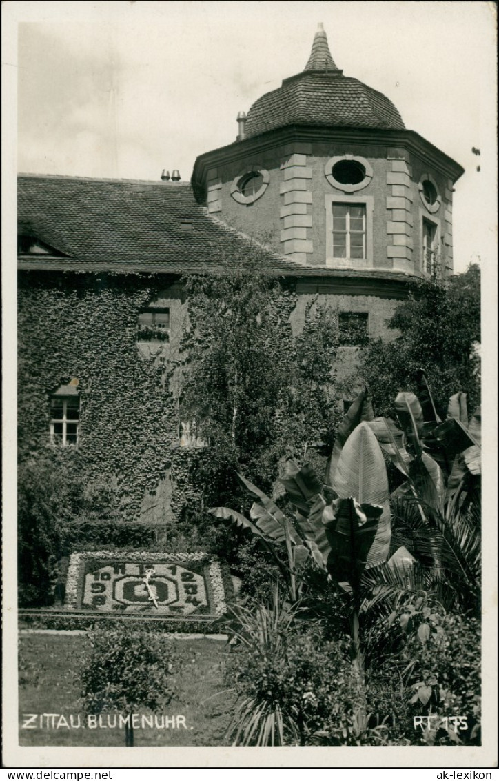 Ansichtskarte Zittau Partie An Der Blumenuhr 1936 - Zittau