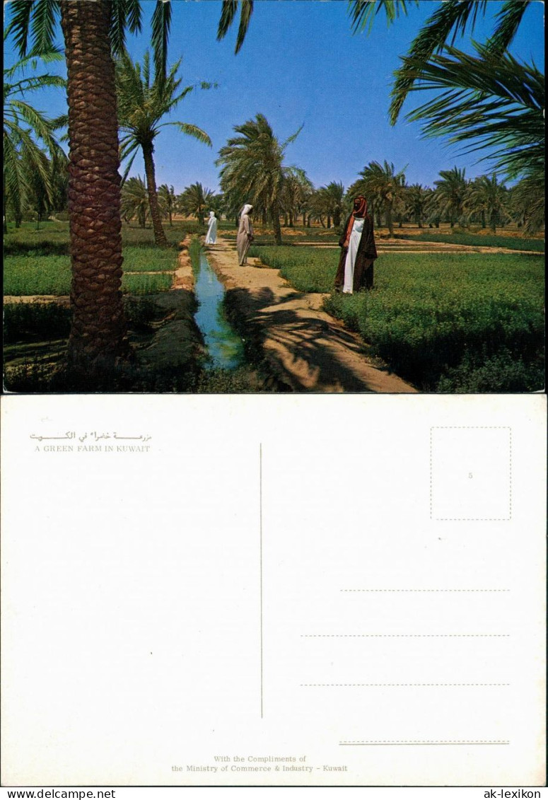 Kuwait-Stadt الكويت A GREEN FARM IN KUWAITالكويت 1976 - Koeweit