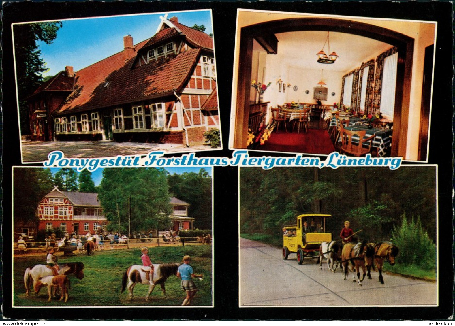 Lüneburg Pony-Trakehner-Gestüt Forsthaus Tiergarten 4 Ansichten 1972 - Lüneburg