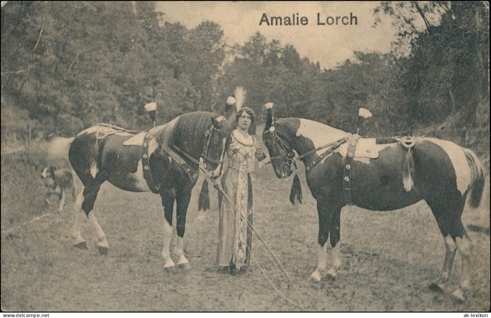 Ansichtskarte  Amalie Lorch - Pferde - Dressur 1909 - Andere & Zonder Classificatie