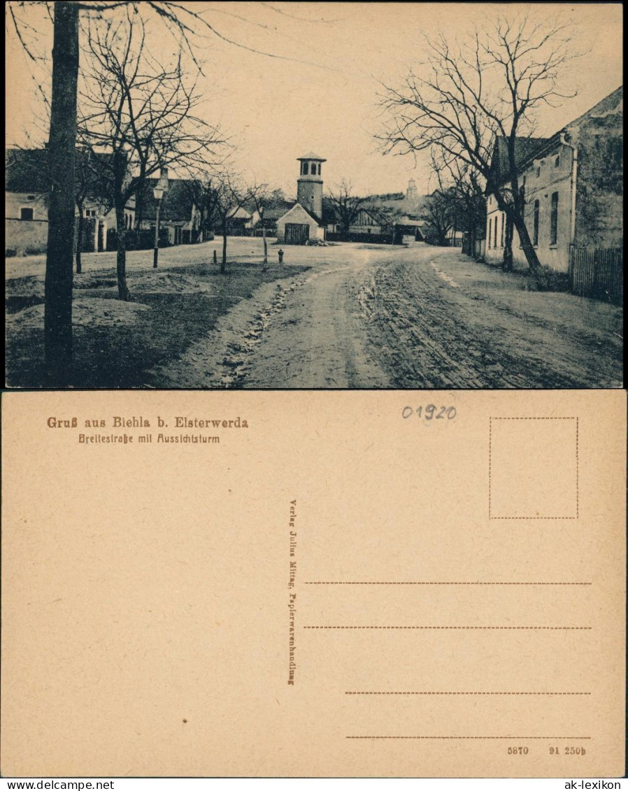 Ansichtskarte Biehla-Elsterwerda Wikow Breitestrasse 1922 - Elsterwerda