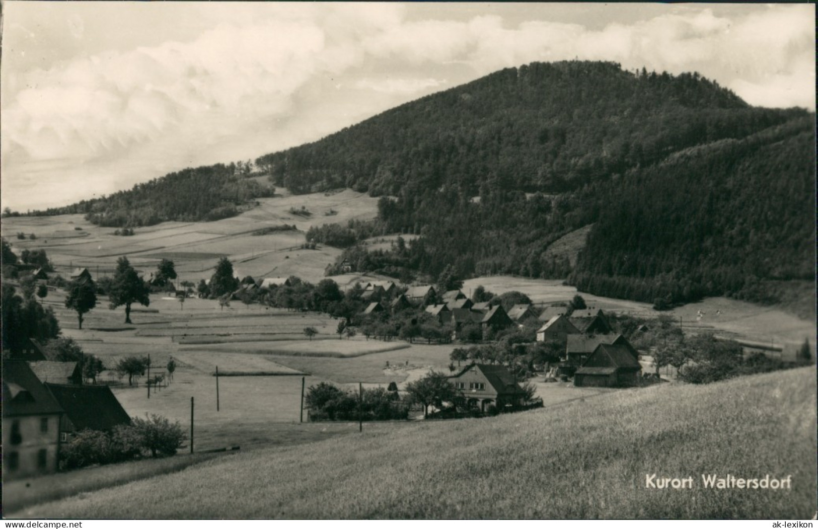 Ansichtskarte Waltersdorf-Großschönau (Sachsen) Stadtblick 1956 - Grossschoenau (Sachsen)