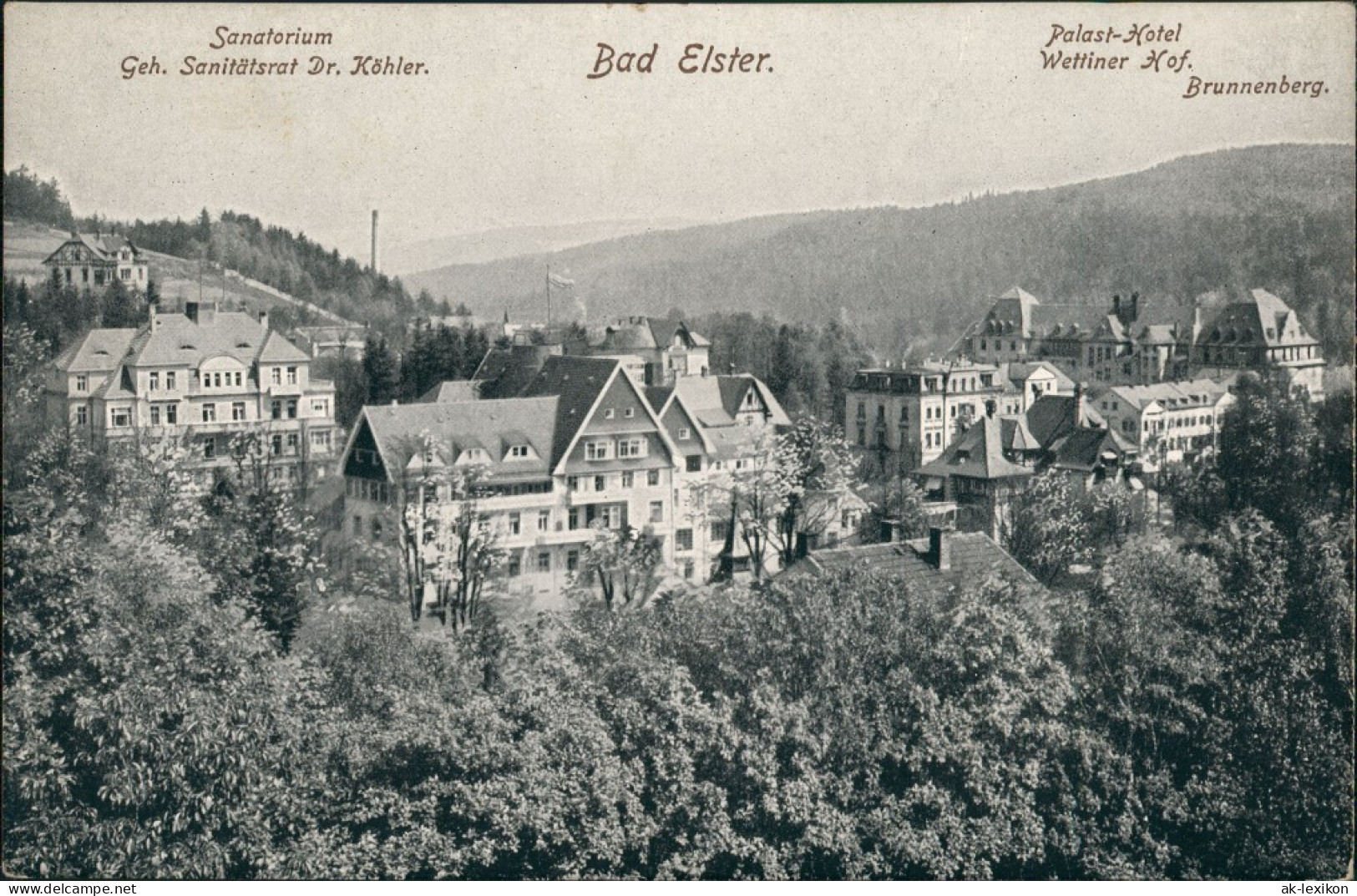 Ansichtskarte Bad Elster Sanatorium, Palast Hotel 1909 - Bad Elster