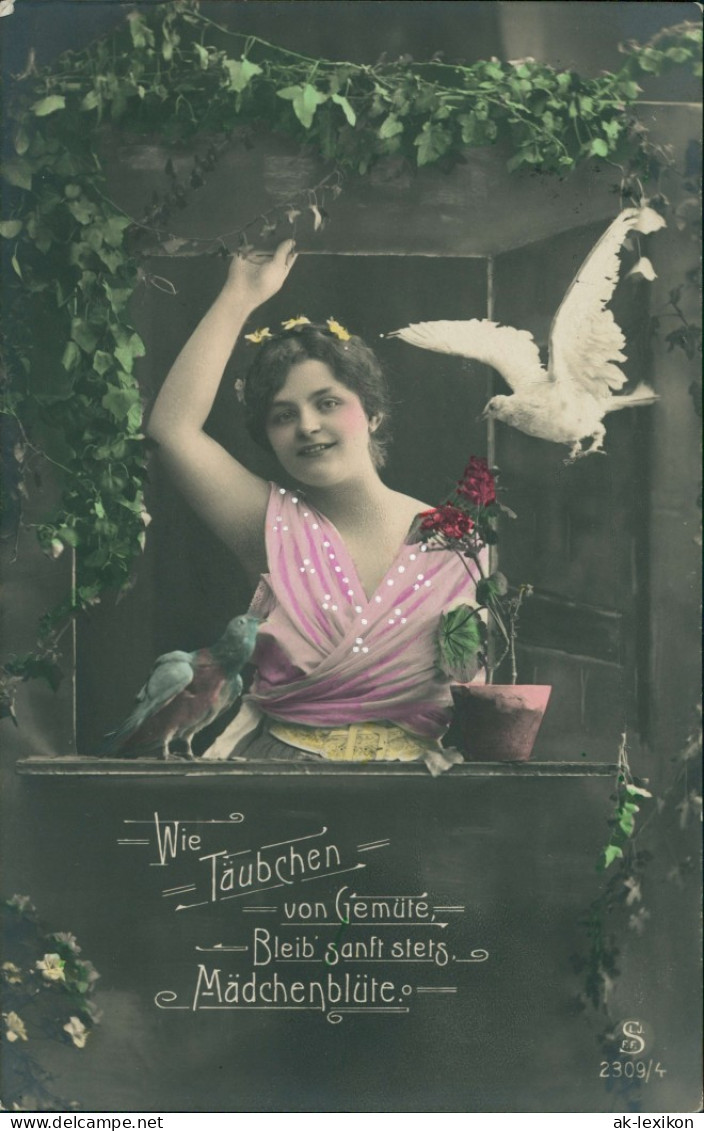 Pirna Fotokunst Täubchen Mädchenblüte 1910  Stempel (Ortsstempel) Von PIRNA - Pirna