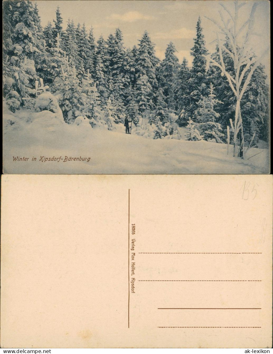 Bärenburg-Altenberg (Erzgebirge)  Verschneiter Wald, 1 Wanderer Unterwegs 1910 - Kipsdorf