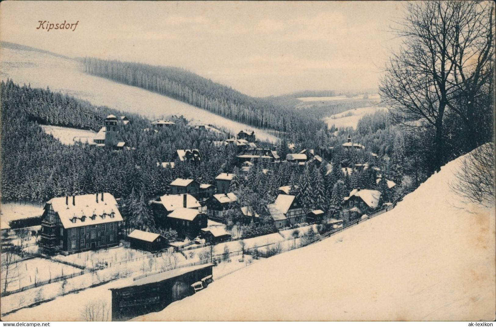 Kipsdorf-Altenberg (Erzgebirge) Panorama-Ansicht Zur Winterzeit 1920 - Kipsdorf