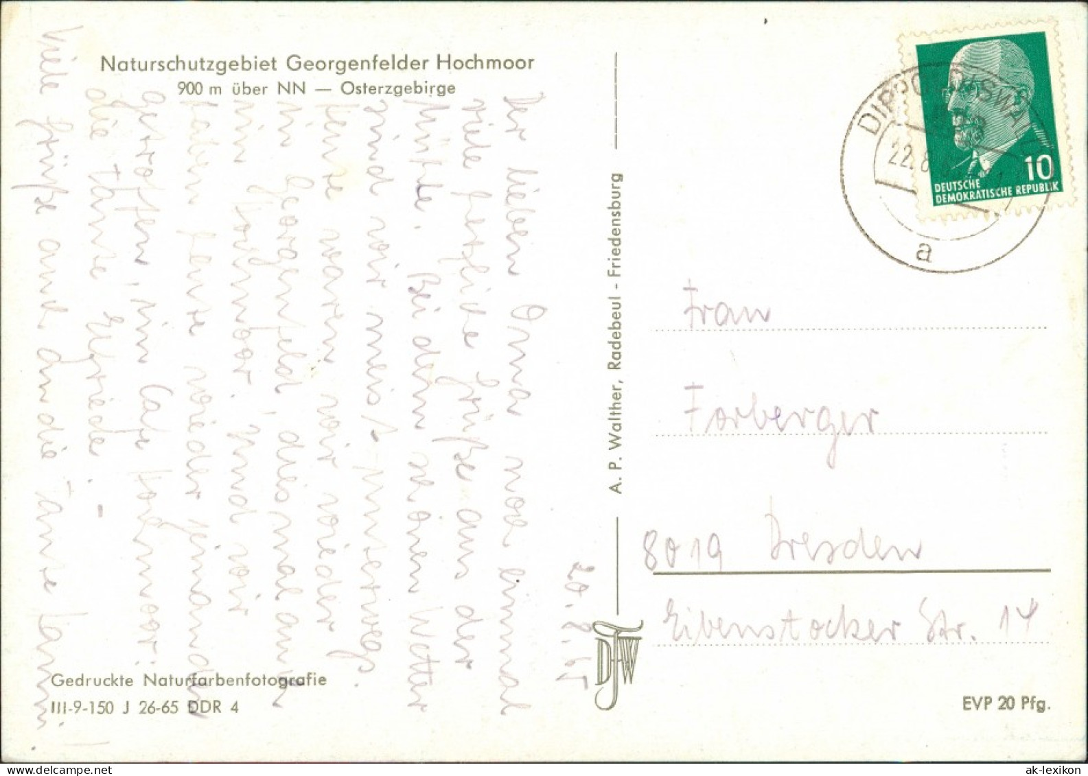 Zinnwald-Georgenfeld-Altenberg (Erzgebirge) Naturschutzgebiet  Hochmoor  1965 - Altenberg