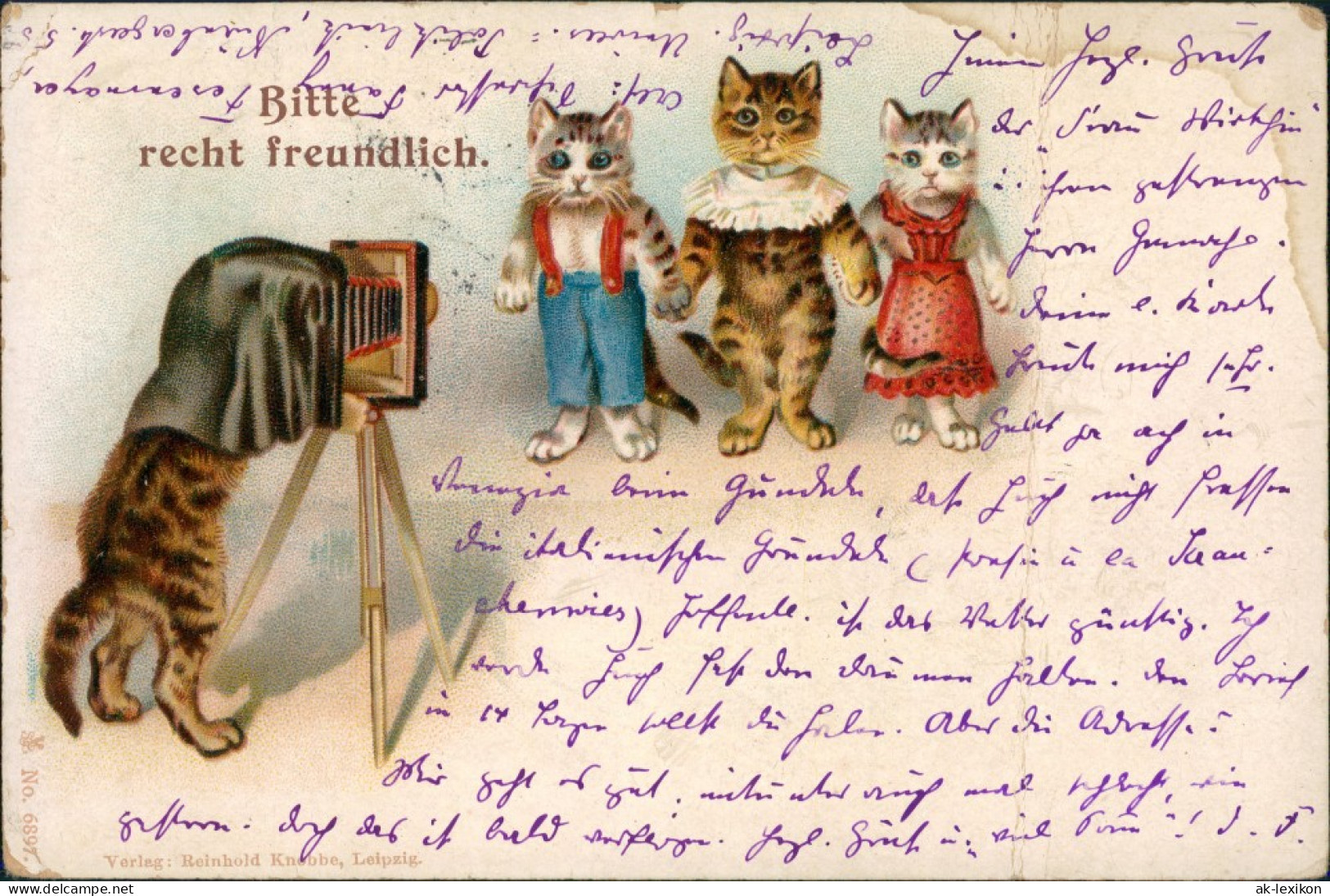 Tiere Als Menschen (Künstlerkarten) Andromorphische Karten Katzen 1902 - Autres & Non Classés