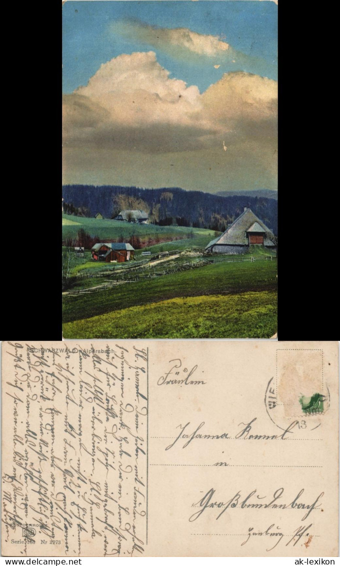 Ansichtskarte Alpirsbach Hütten Photochromie Stimmungsbild 1915 - Alpirsbach