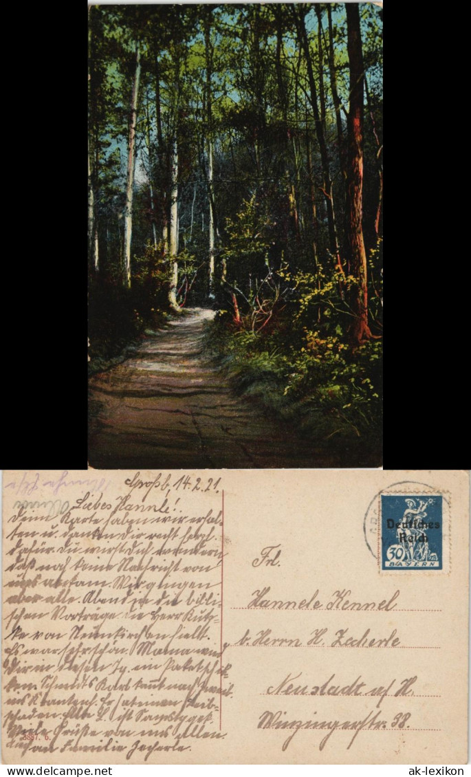Ansichtskarte  Stimmungsbilder: Natur Wald - Weg 1921 - Unclassified
