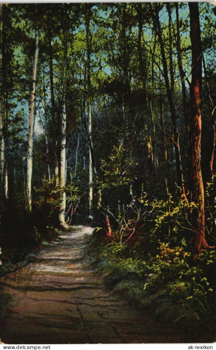 Ansichtskarte  Stimmungsbilder: Natur Wald - Weg 1921 - Unclassified