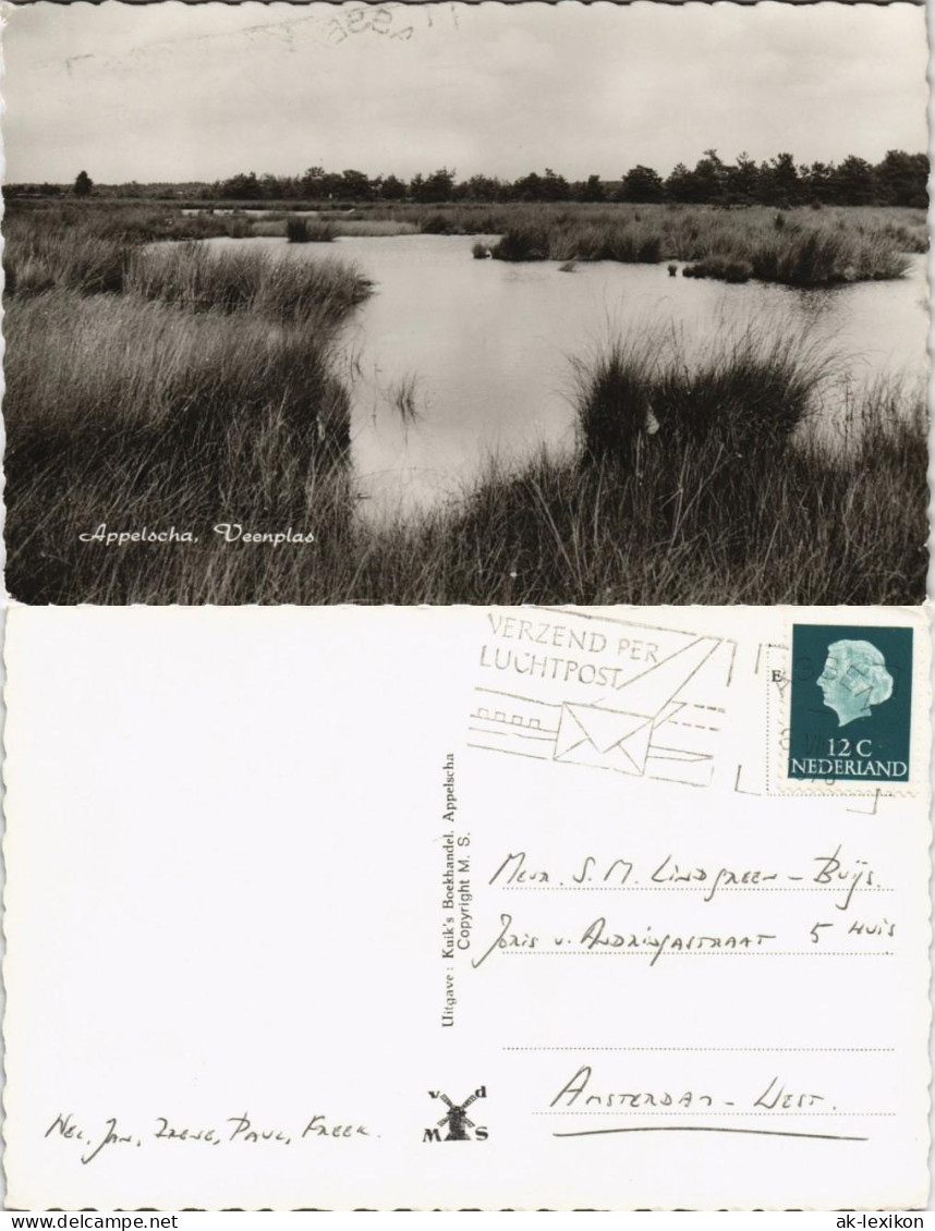 Postkaart Appelscha Appelscha, Veenplas Landschaft Landscape 1960 - Otros & Sin Clasificación