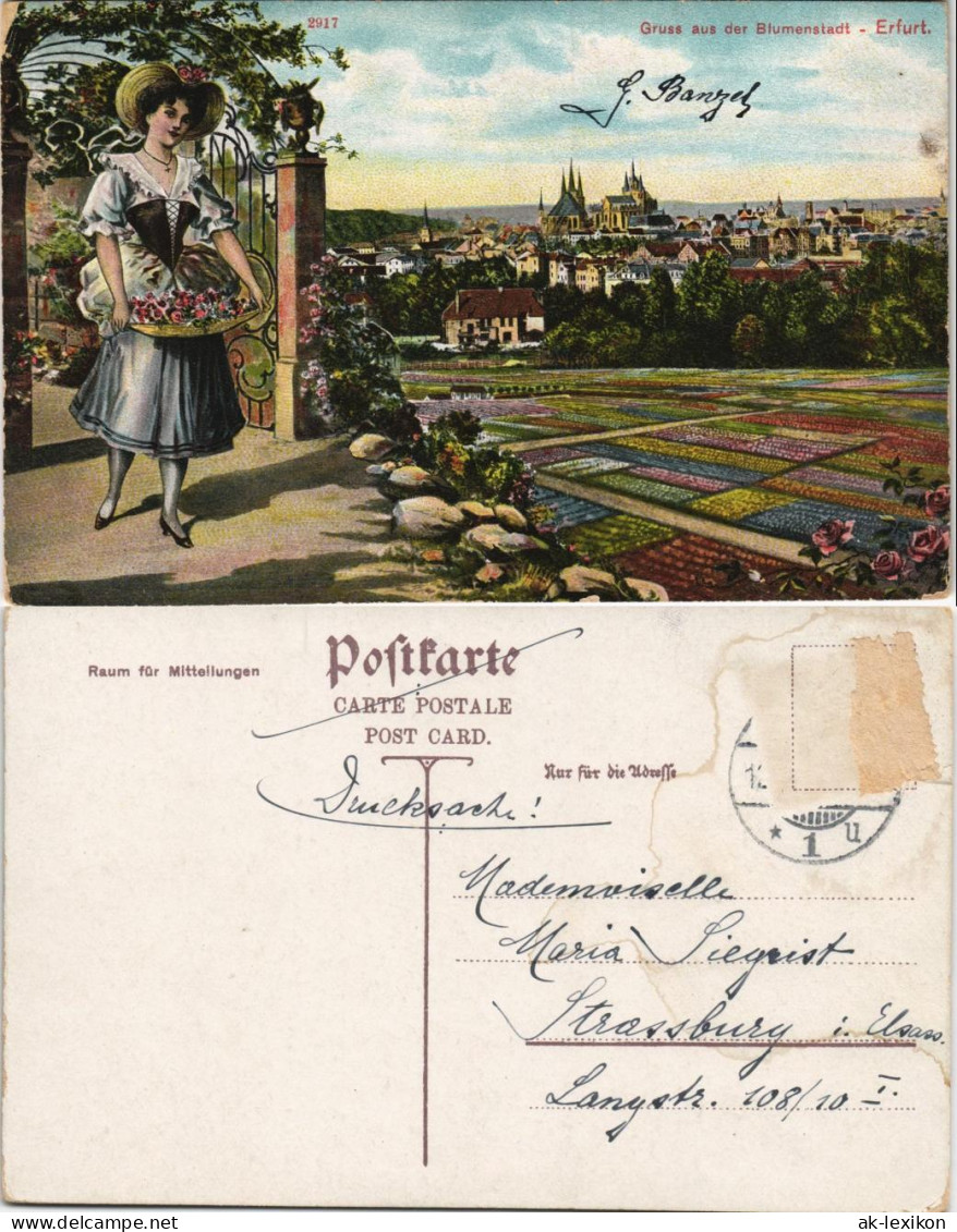 Ansichtskarte Erfurt Blumenfrau - Stadtpartie Blumenbeete 1913 - Erfurt