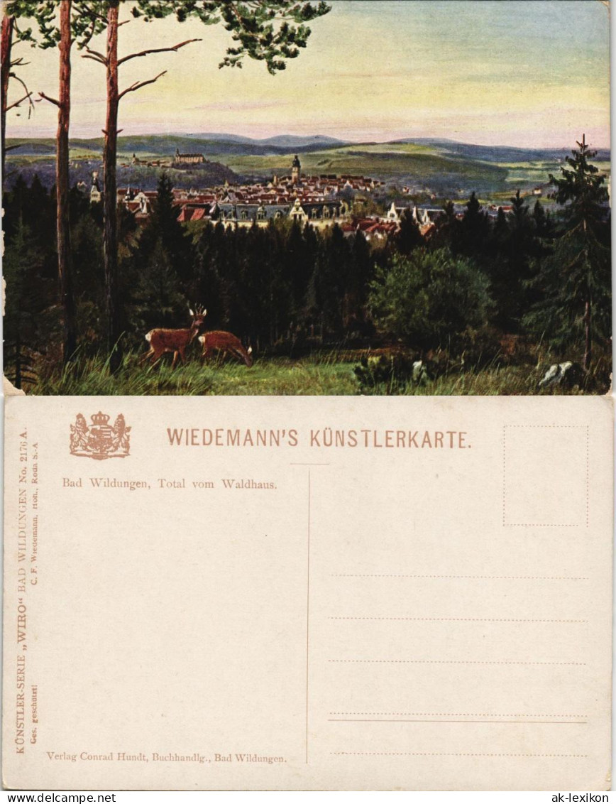 Ansichtskarte Bad Wildungen Totale - Künstlerkarte 1913 - Bad Wildungen