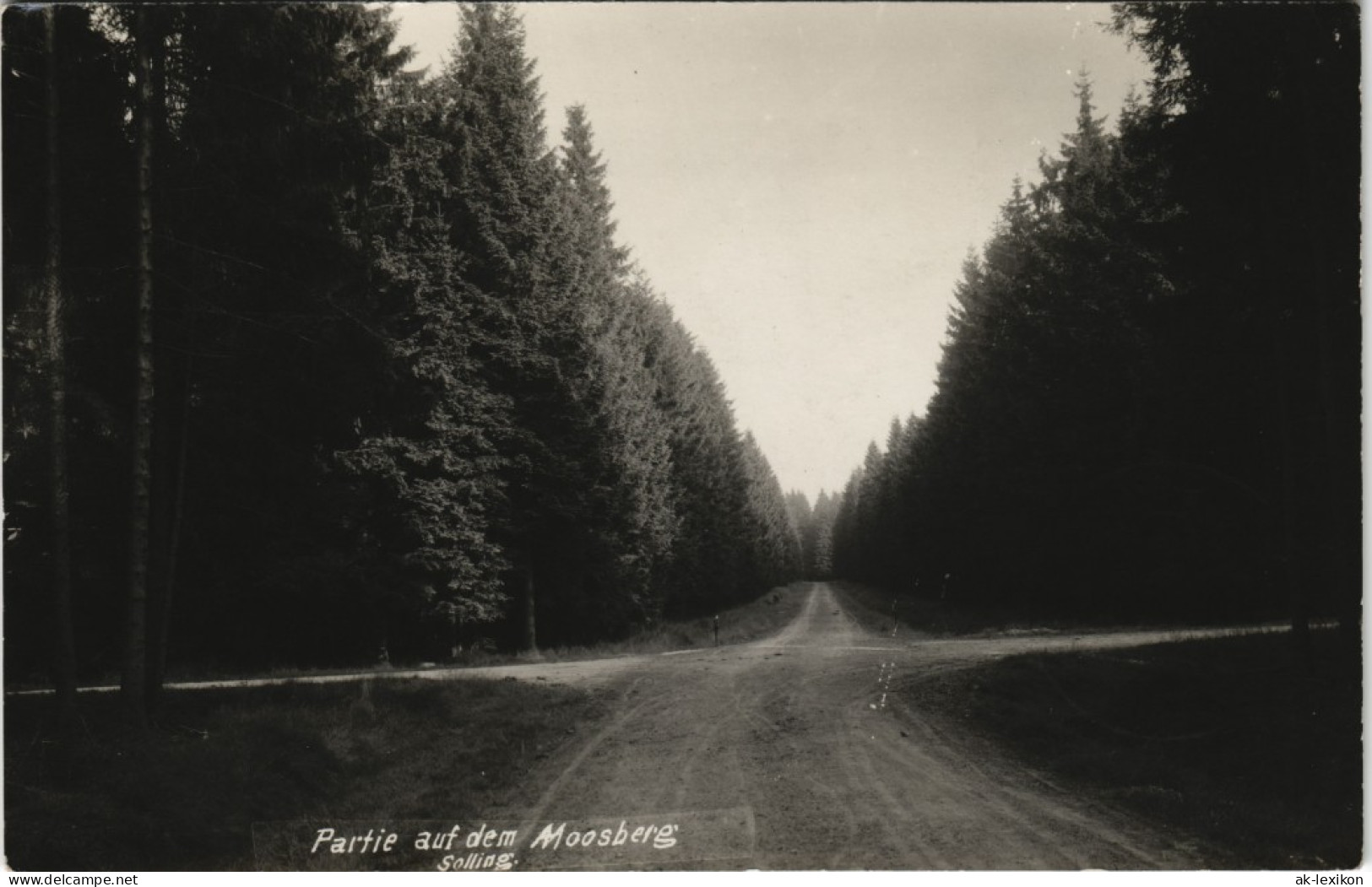 Neuhaus Im Solling-Holzminden Partie Auf Dem Moosberg Gel. Landpoststempel 1936 - Holzminden