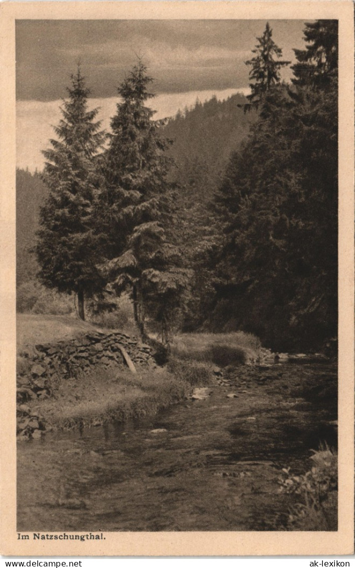 Ansichtskarte Olbernhau Natzschungtal/Erzgebirge 1928 - Olbernhau