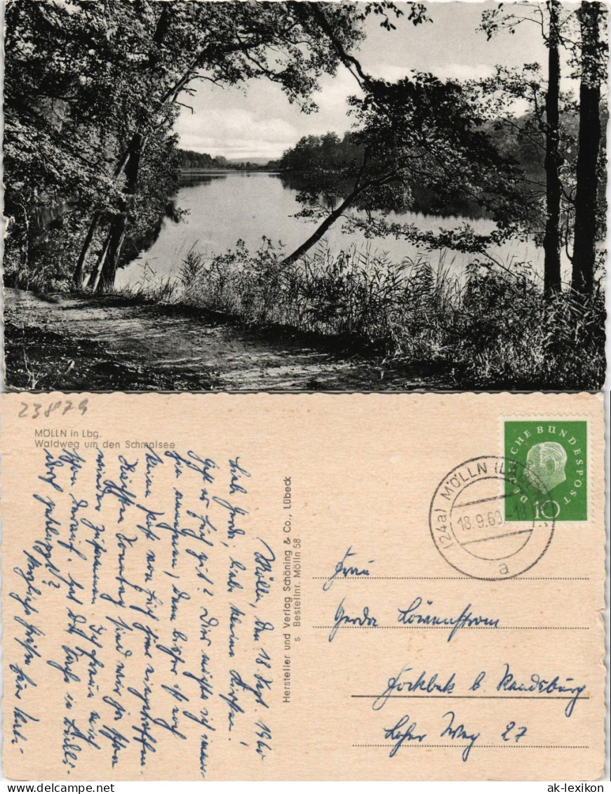 Ansichtskarte Mölln (Schleswig-Holstein) Waldweg Um Den Schmalsee 1960 - Otros & Sin Clasificación