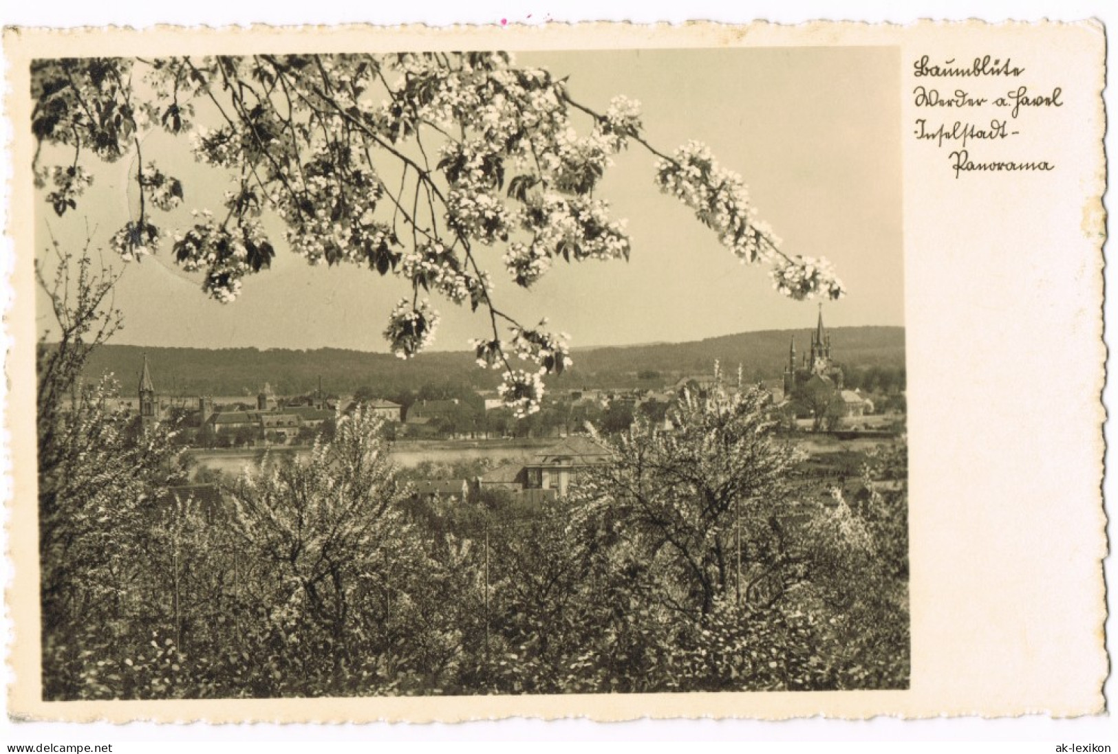 Ansichtskarte Werder (Havel) Baumblüte, Stadt - Fotokarte 1936 - Werder