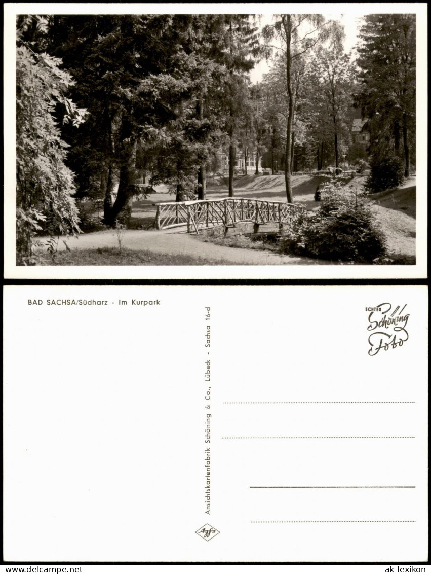 Ansichtskarte Bad Sachsa Kurpark 1960 - Bad Sachsa