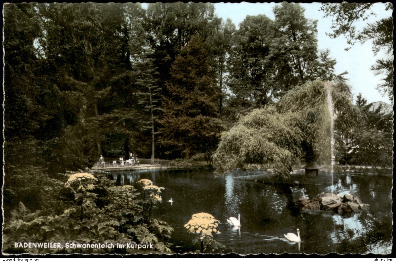 Ansichtskarte Badenweiler Schwanenteich Im Kurpark 1965 - Badenweiler