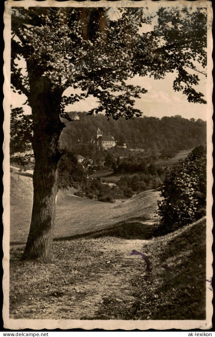 Ansichtskarte Liebstadt Baum Blick Auf Schloß Kuckuckstein - Fotokarte 1934 - Liebstadt