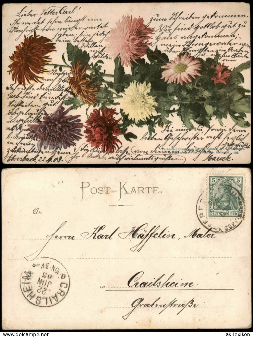 Botanik :: Blumen, Farbenlichtdruck 1902 Gel. Ankunftsstempel Crailsheim - Autres & Non Classés