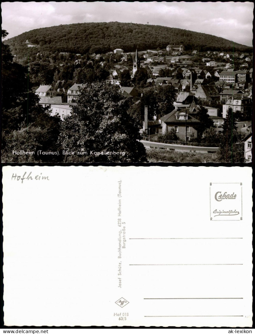 Ansichtskarte Hofheim (Taunus) Panorama-Ansicht Blick Zum Kapellenberg 1963 - Hofheim