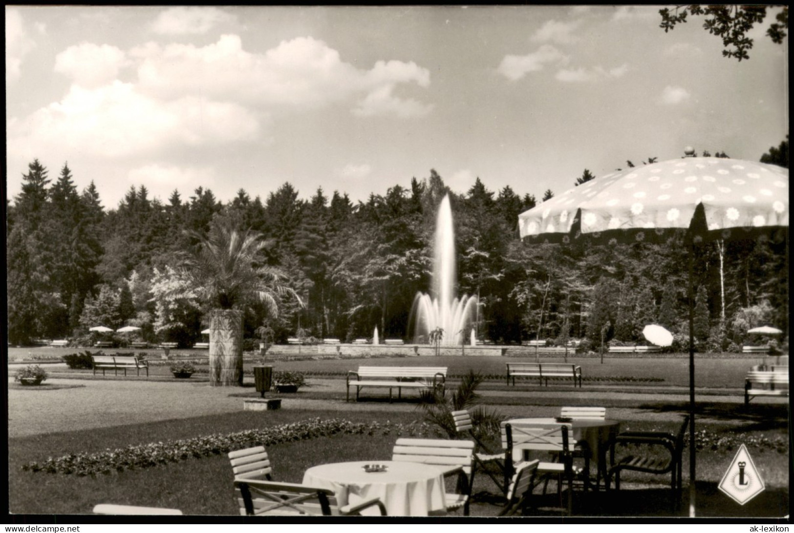 Ansichtskarte Bad Lippspringe Leuchtfontäne Im Kaiser-Karls-Park 1960 - Bad Lippspringe