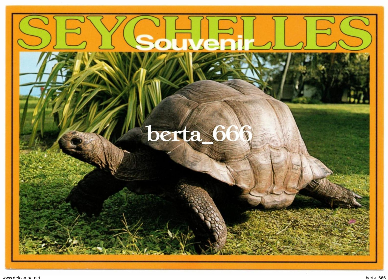 Animals * Esmeralda The Biggest Tortoise * Bird Island * Seychelles * Tortue - Tortues