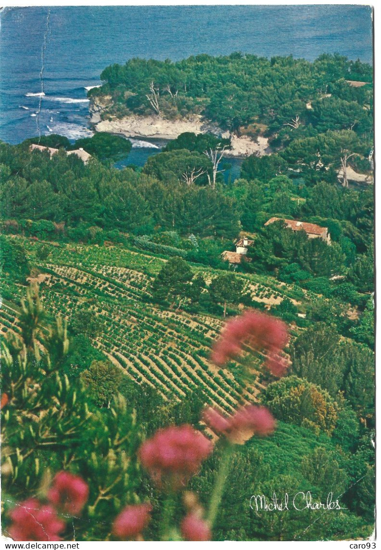 Près De La Mer Et De Ses Calanques Voici La Provence éternelle.....Roubert Bruguière (Michel Charles) - Provence-Alpes-Côte D'Azur